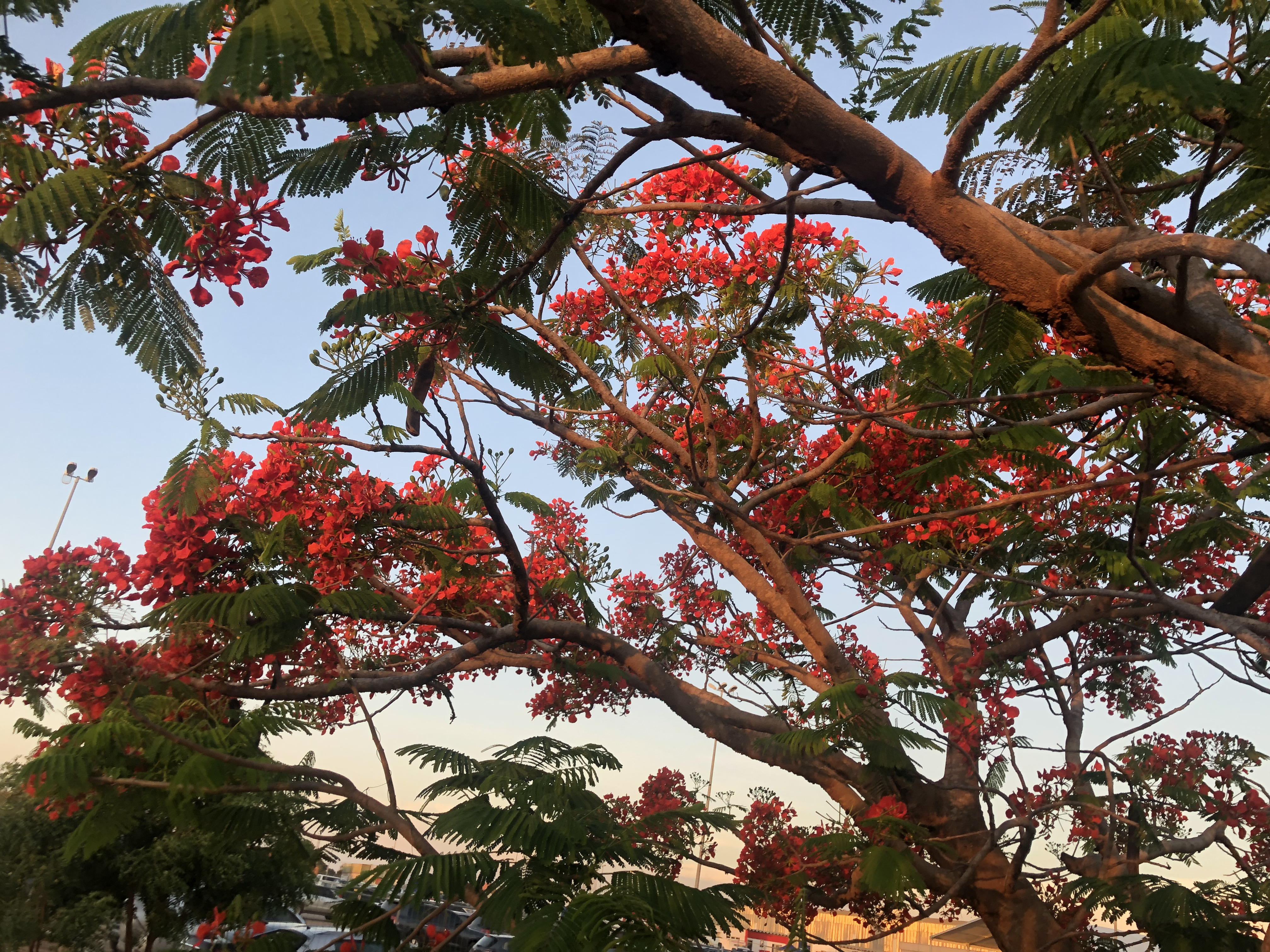 Luanda